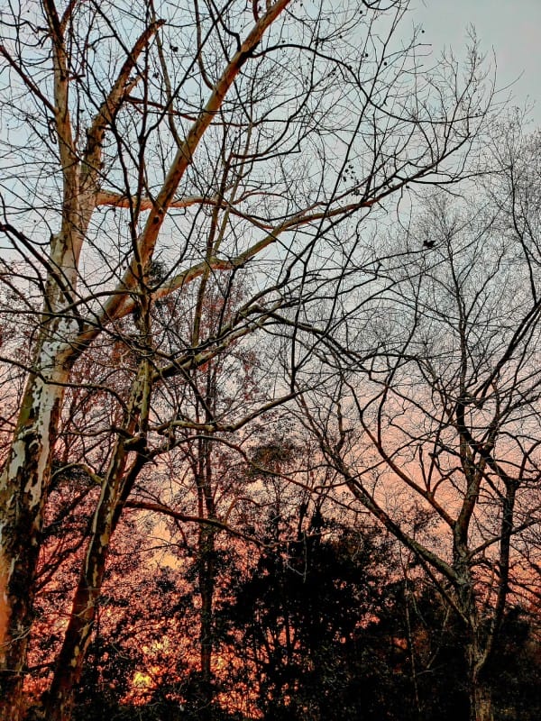 12th Grade_People's Choice_Dekensley J.