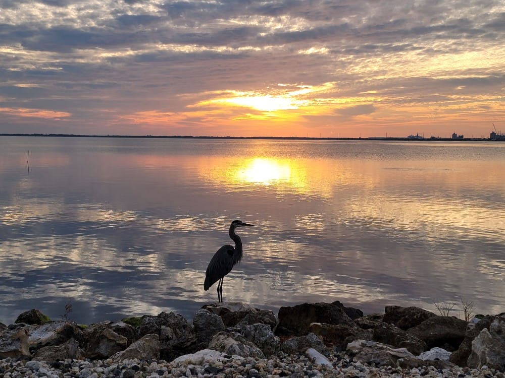 2nd Grade_1st Place_Emmalyn M.