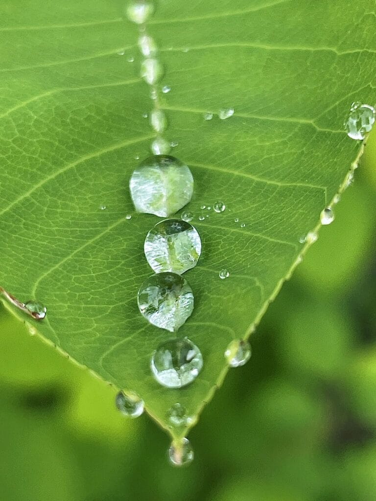 9th Grade_People's Choice_Preston M.