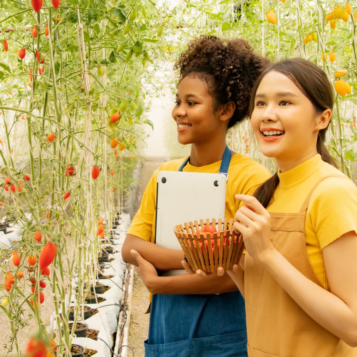 Agribusiness Career Pathway image 21 (name Agribusiness)