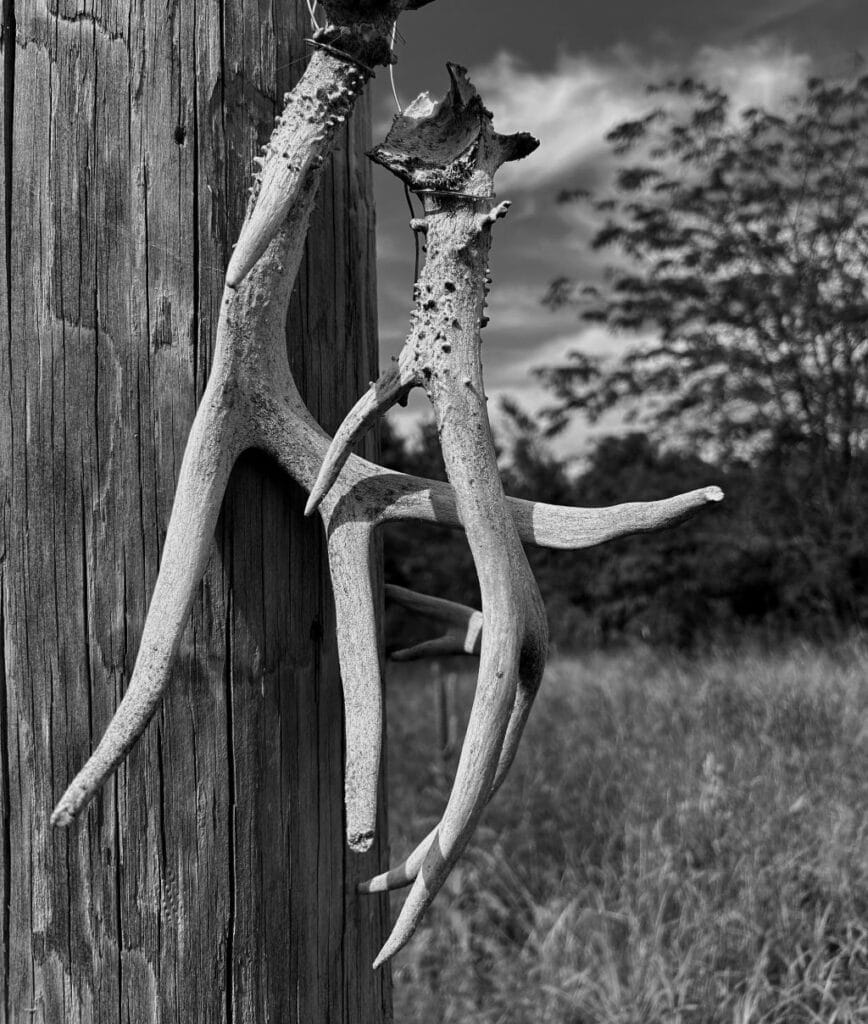 Kindergarten_2nd Place_Serenity B.