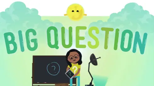 Curriculum Innovation image 27 (name big question)