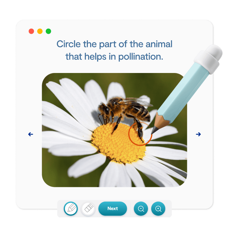 Illustration highlighting the animal's body part responsible for pollination, emphasizing its role in the ecosystem.