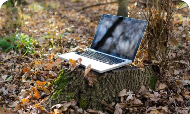 Career Services Center image 41 (name IMG Seasonal Job Opportunities 2.jpg)