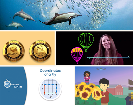 Sample Lessons for K12’s K-8 Curriculum image 23 (name math coordination of a fly)